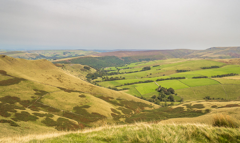 Leygatehead Moor